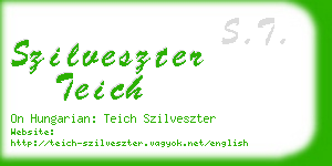 szilveszter teich business card